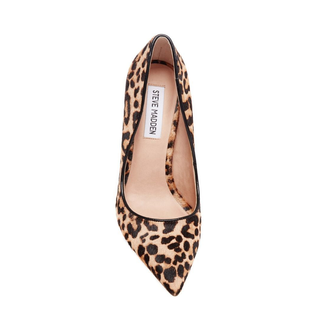DAISIE-L LEOPARD - SM REBOOTED