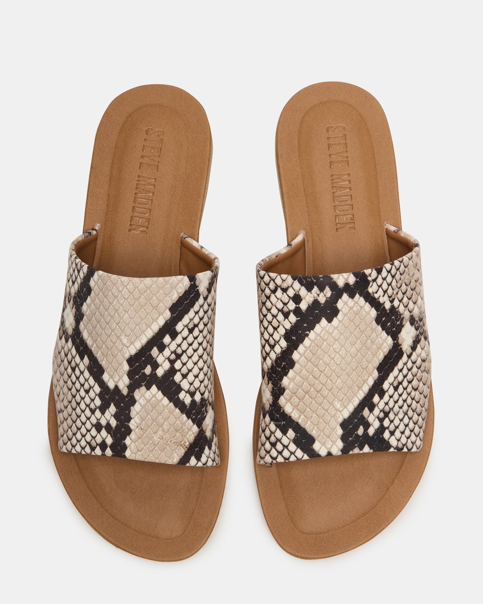 KIPP NATURAL SNAKE